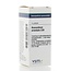 VSM Anacardium orientale C30 4 gramos