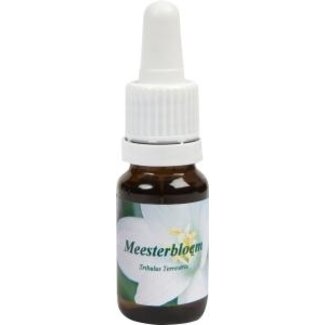 Star Remedies Star Remedies Meesterbloem 10 Mililitrów