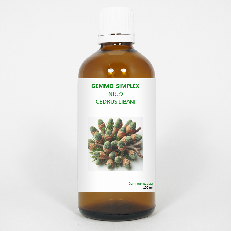 Balancepharma Gemmo simplex 9 cedrus libani 100 Milliliter