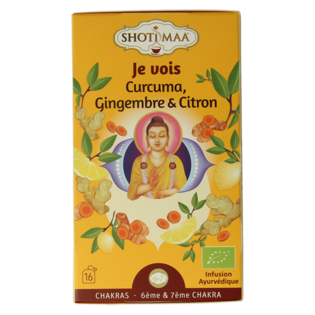 Shoti Maa Vision Organic 16 Bags