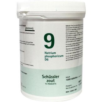 Pflüger Natrium phosphoricum 9 D6 Schüssler 1000 Tabletten
