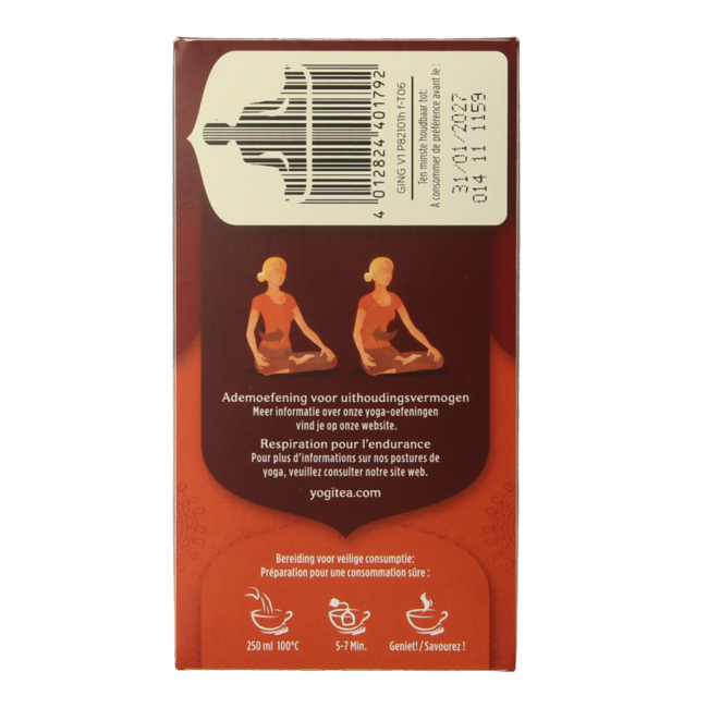 Ginger organic 17 bags