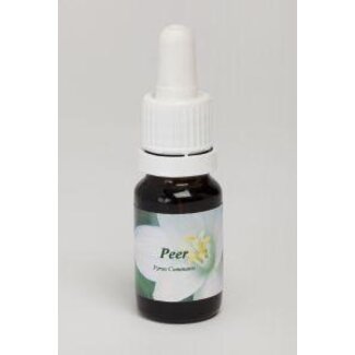 Star Remedies Star Remedies Peer 10 ml