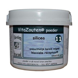 Vitazouten Vitazouten Silicea poeder nr. 11 60 Gram