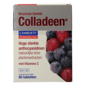 Lamberts Lamberts Colladeen maksymalna siła 60 tabletek