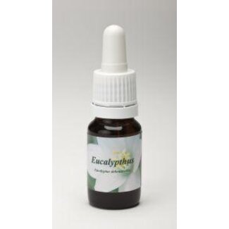 Star Remedies Star Remedies Eucalyptus 10 mililitros