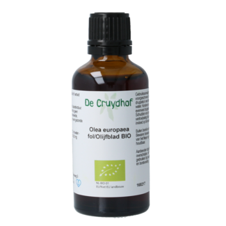 Cruydhof Cruydhof Olea europaea folia / olive leaf tincture organic 50 Millilitre