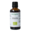 Cruydhof Olea europaea folia / olive leaf tincture organic 50 Millilitre