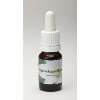 Star Remedies Star Remedies Red Campion 10 Millilitres