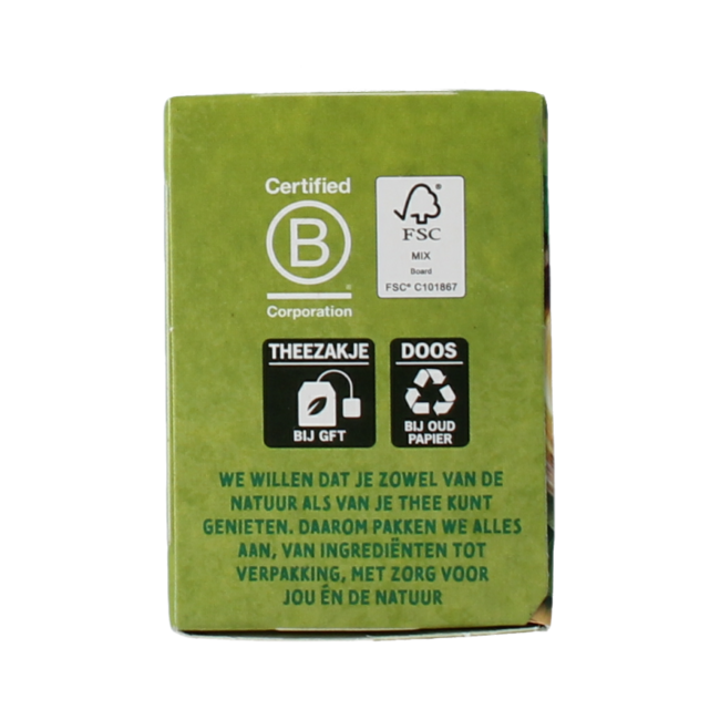 Zonnatura Tè verde ginseng bio 20 bustine