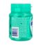 Mentos Gum pure wintergreen bote 30 unidades