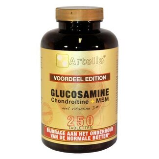 Artelle Artelle Glucosamin Chondroitin MSM 250 Tabletten