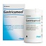 Heel Gastricumeel 250 comprimidos
