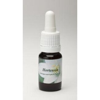 Star Remedies Hortensia 10 mililitros