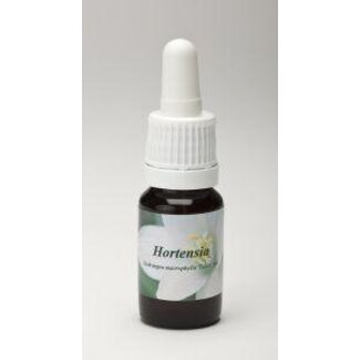 Star Remedies Hortensia 10 Millilitres