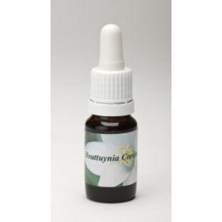 Star Remedies Houttuynia cordata 10 mililitros
