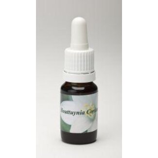 Star Remedies Houttuynia cordata 10 Milliliter