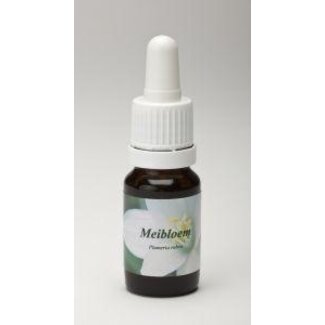 Star Remedies Meibloem 10 mililitros
