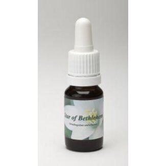 Star Remedies Star Remedies Star of Bethlehem 10 ml