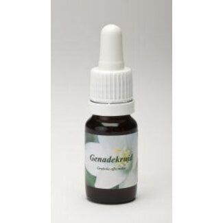 Star Remedies Star Remedies Hedge Hyssop 10 Millilitres