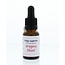 Indigo Essences Dragon's blood 15 mililitros