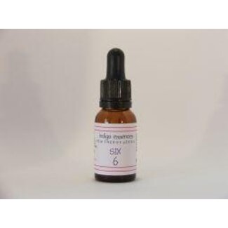 Indigo Essences Indigo Essences Six 15,00 Milliliter
