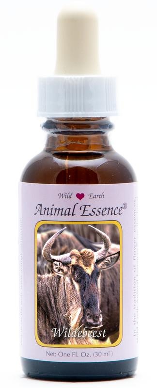 Animal Essences Wildebeest 30 Milliliter