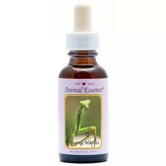 Animal Essences Animal Essences Praying mantis (mantis religiosa) 30 mililitros