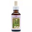 Animal Essences Praying mantis (mantis religiosa) 30 mililitros