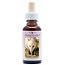 Animal Essences Opossum (Beutelratte) 30 Milliliter
