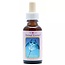Animal Essences Manta ray (Riesenmanta) 30 Milliliter
