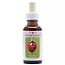 Animal Essences Ladybug (Marienkäfer) 30 Milliliter