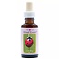 Animal Essences Ladybug (mariquita) 30 mililitros