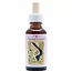 Animal Essences Earthworm (Regenwurm) 30 Milliliter