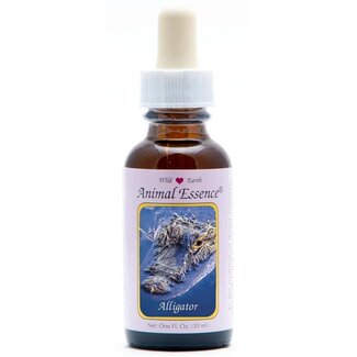 Animal Essences Tieressenzen Alligator 30 Milliliter