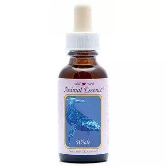 Animal Essences Esencje Zwierzęce Wieloryb (Whale) 30 Mililitrów