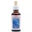 Animal Essences Whale (Ballena) 30 ml