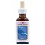 Animal Essences Whale (Wal) 30 Milliliter