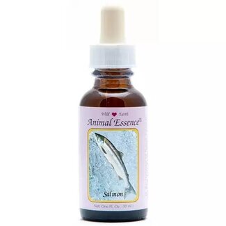 Animal Essences Animal Essences Salmon (zalm) 30 Milliliter