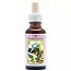 Animal Essences Salamander 30 millilitri