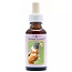 Animal Essences Robin (Rotkehlchen) 30 Milliliter