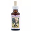Tieressenzen Elefant 30 Milliliter