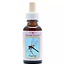Essenze Animali Libellula (Dragonfly) 30 Millilitri