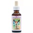 Animal Essences Deer (hert) 30 Milliliter