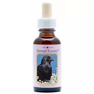 Animal Essences Animal Essences Crow (Krähe) 30 Milliliter