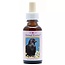 Essenze Animali Corvo (Crow) 30 Millilitri