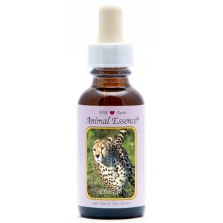 Animal Essences Animal Essences Cheetah (Gepard) 30 Milliliter