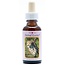 Animal Essences Cheetah 30ml
