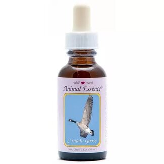 Animal Essences Animal Essences Canada Goose 30ml