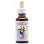 Animal Essences Bumblebee 30 Millilitre